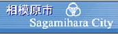 07_sagamiharashi.jpg