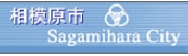 07_sagamiharashi.jpg