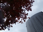 a0960_000093.jpg